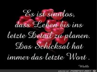 Es ist sinnlos das Leben bis zum Ende zu planen