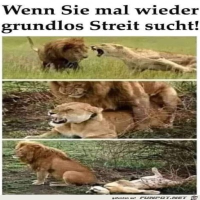 Grundlos-Streit-angefangen.jpg von Brenda