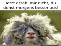 Erz�hl mir nicht