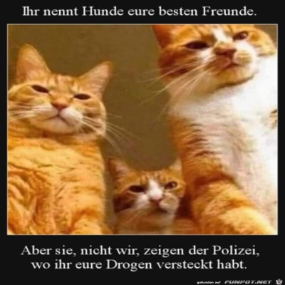 Um-mal-eines-klarzustellen.jpg von Thies