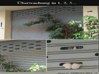 Tierische �berwachungskamera am Start