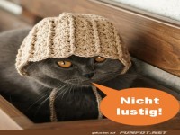 Nicht lustig