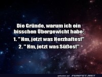 Gründe für Übergewicht