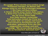 Ein junger Prinz m�chte eine sch�ne junge Prinzessin...