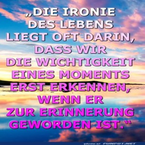 Die-Ironie-des-Lebens-erkennen.jpg von Adam25