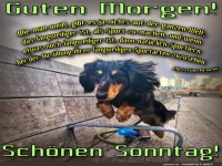 Schönen Sonntag wünschen