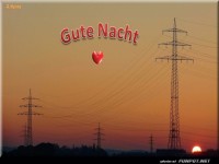 Gute Nacht