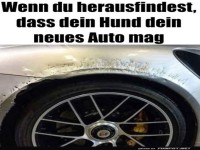 Hunde-Schnitzkunst auf vier R�dern