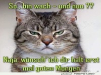 Kaffee ist auch keine Lsung, oder?