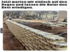 weiter