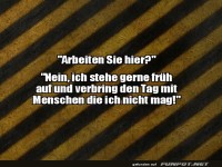 Wenn Sarkasmus zur Pflicht wird