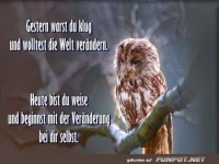 Eule und die Weisheit der Selbstver�nderung
