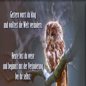 Eule-und-die-Weisheit-der-Selbstveränderung.jpg von Lucie37