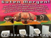 Tierische Gr��e f�rs stille �rtchen!