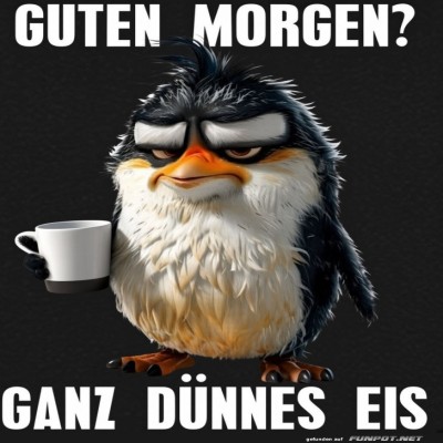 Kaffeepinguin-auf-d&uuml;nnem-Eis.jpg von Sophie48