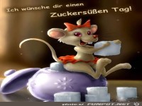 schoenen tag gbbild 24