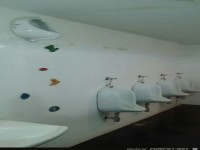 die freeclimbing-Toilette