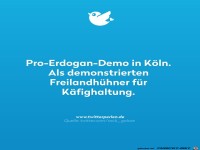 Pro-Erdogan-Demo in K�ln...