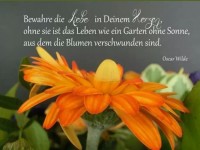 Bewahre die Liebe