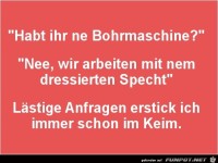 L�stige Anfragen
