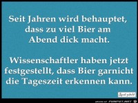 Bier am Abend