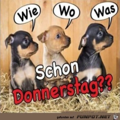 Donnerstag.jpg von Kollin