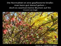Die Normalitaet