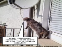Ruhe, verdammt noch mal
