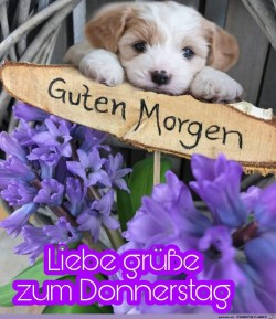 zum-Donnerstag.jpg auf www.funpot.net