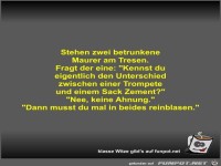Stehen zwei betrunkene Maurer am Tresen