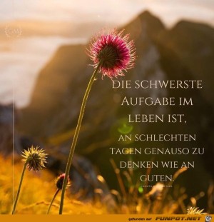 Die-schwerste-Aufgabe-im-Leben-ist.jpg auf www.funpot.net