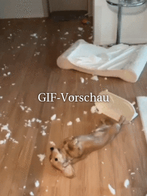 Ganze Arbeit geleistet