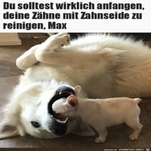 fun-Bild: Zahnuntersuchung
