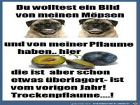 Ein Bild