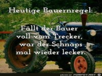 Bauernregel