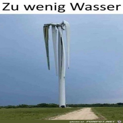 Zu-wenig-gegossen.jpg von Finnja