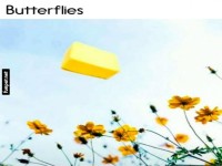 Gelbe Blumen und schwebende Butterpackung