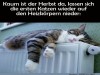 weiter