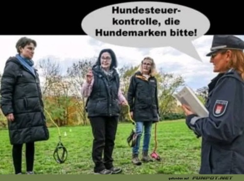 Hundemarken-vergessen?-Ohje!.jpg auf www.funpot.net
