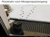 Die geheimnisvolle R�ckkehr des Katzenagenten