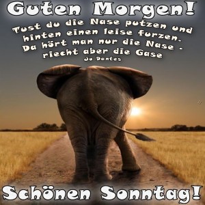 Ein-Elefant-auf-dem-Weg-zum-Sonntagshumor.jpg von Justin