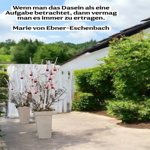 wenn-man-das-dasein.png von Fabioma