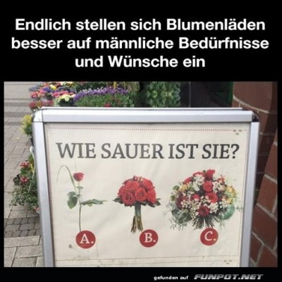 Blumenhilfe-für-ratlose-Männer.jpg von Phil-1986