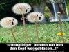 weiter