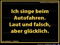 diegeilsten Autofahren