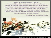 liebe-vers04