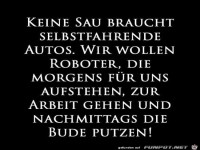 keine Sau braucht selbstfahrende Autos........