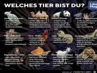 welches Tier bist du ?