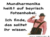 das solltet ihr wissen......