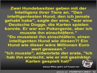 Zwei Hundebesitzer geben mit der Intelligenz ihrer Tiere an